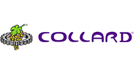 Collard
